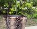 img_6292.jpeg