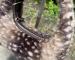 img_6298.jpeg