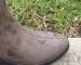 img_6548.jpeg