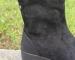 img_6542.jpeg