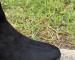 img_6543.jpeg