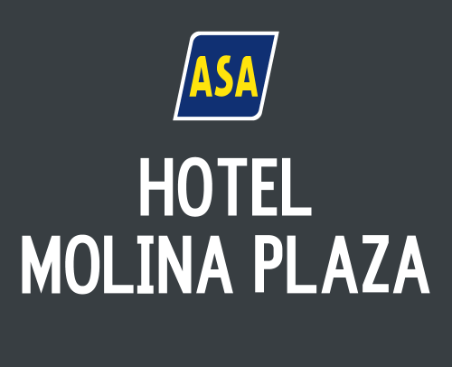 Visitar web