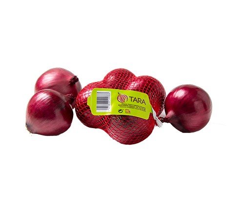 Rote zwiebel