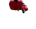 img_6110-photoroom.png