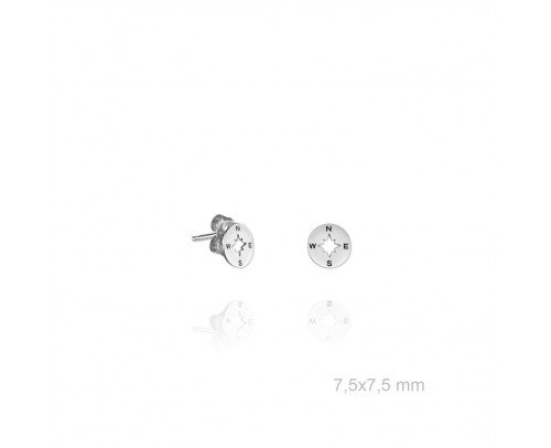 Pendientes de la estrella polar de Plata