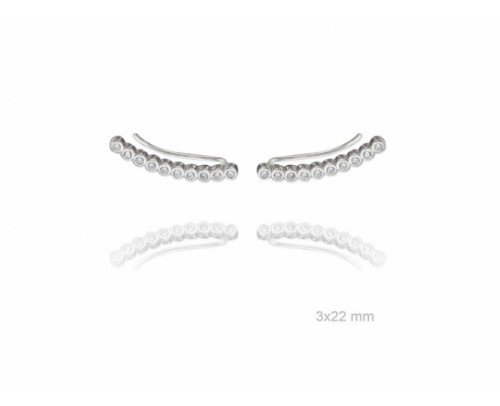 Pendiente trepadores de plata con circonitas.