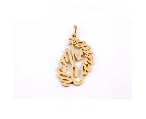 COLLAR ORO VARIOS NOMBRES