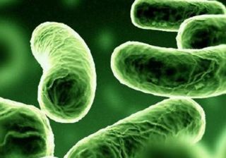 Control y prevención de Legionella