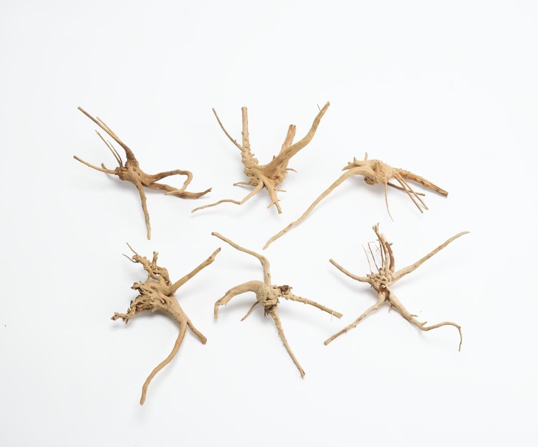 Tronco madera paisajismo pequeño :: Decoración :: PECES :: Productos