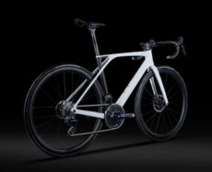 XELIUS SL 8.0 ASX 2024