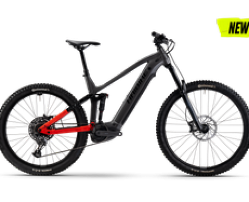HAIBIKE ALLMTN4 2025