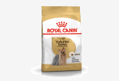 Royal Canin YORKSHIRE Adult 1.5Kg