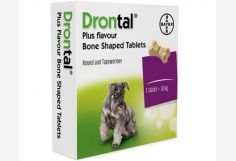 Drontal Plus Sabor Para perros 2 comprimidos 1x10kg