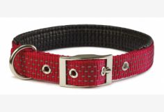Collar Nylon LISO Acolchado C/Hebilla 1.5x38cm (azules, negro, rojo, rosa.)